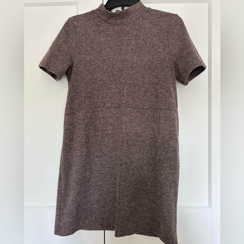 Zara Brown Mini sweater Dress with Short Sleeves